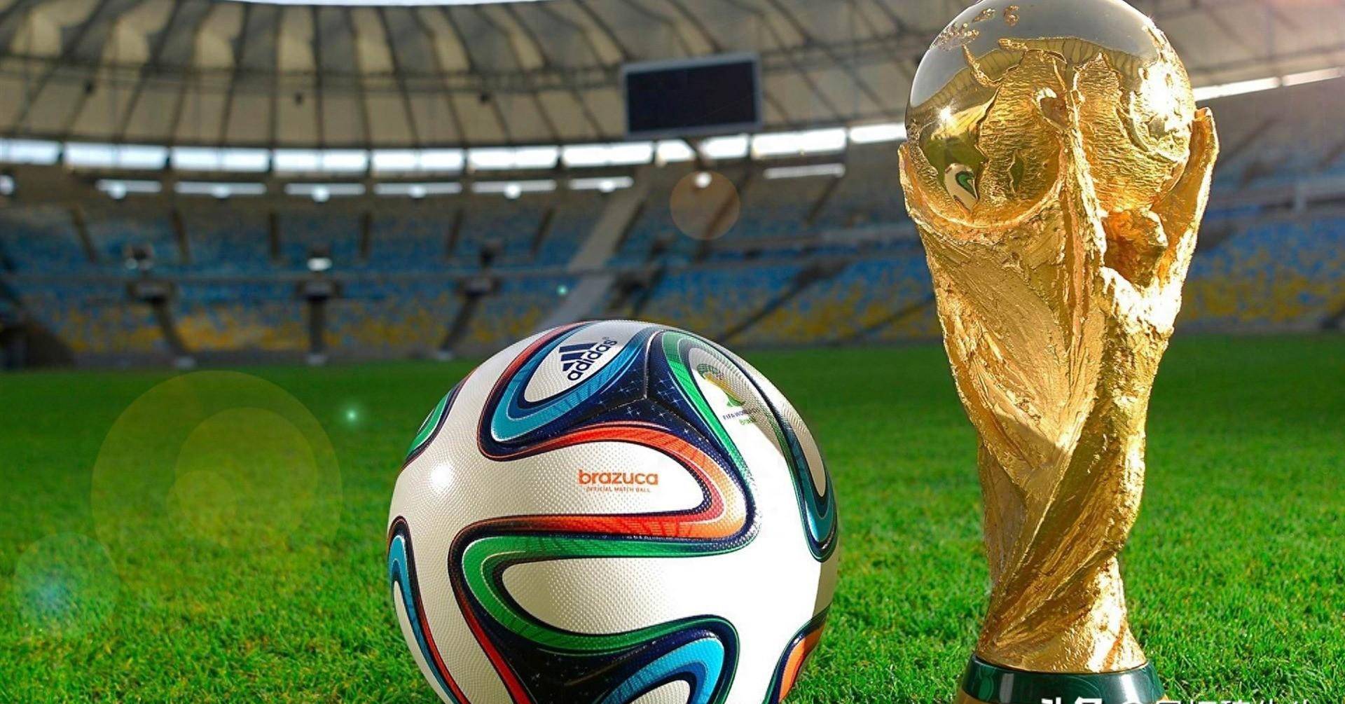 理素质的重 理素质的重